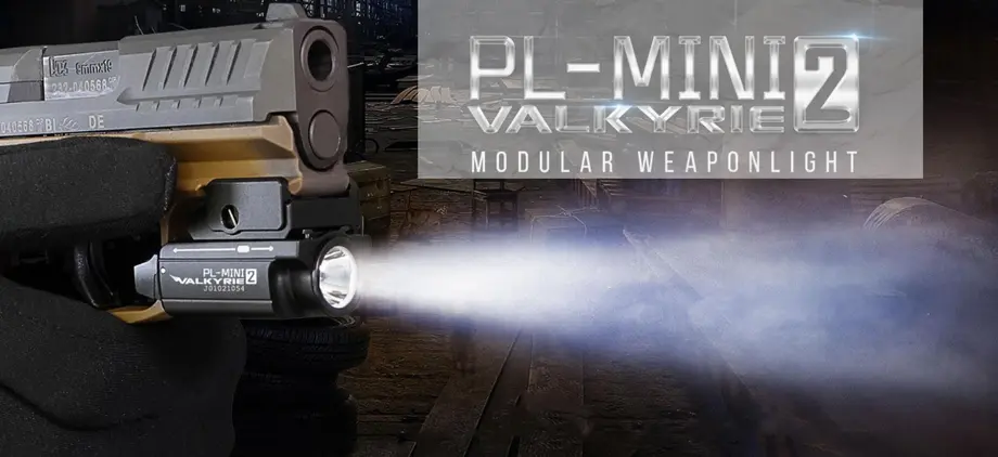 Guida: un'arma leggera per le pistole compatte di oggi.