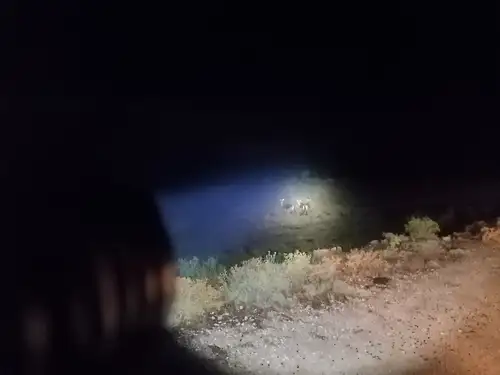 Visitatori a lavoro.